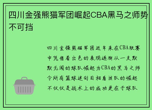 四川金强熊猫军团崛起CBA黑马之师势不可挡